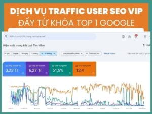 Dịch vụ Traffic User