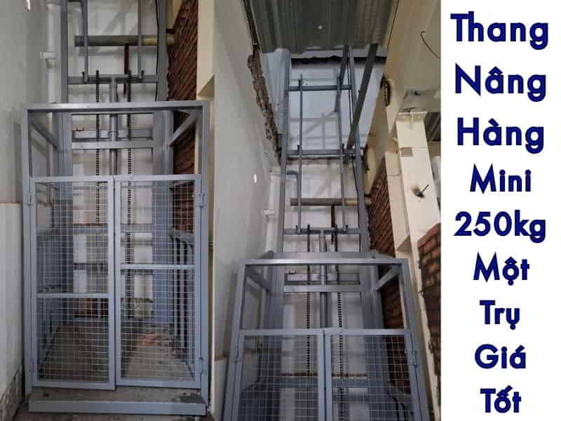 Thang Nâng Mini 250kg