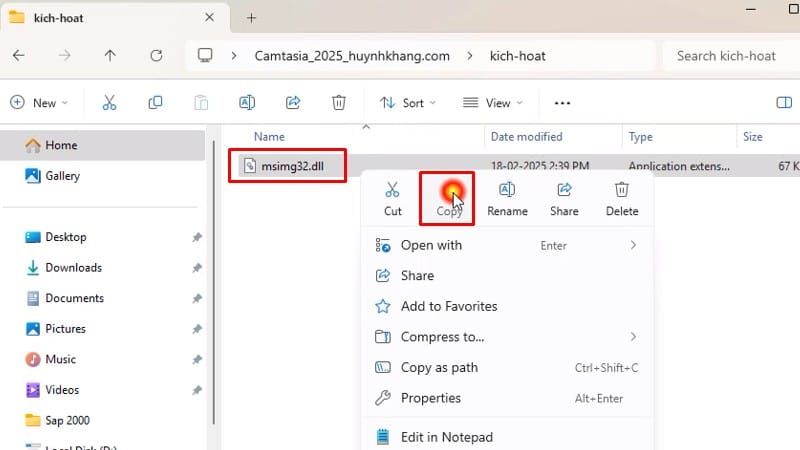 Copy file như hình