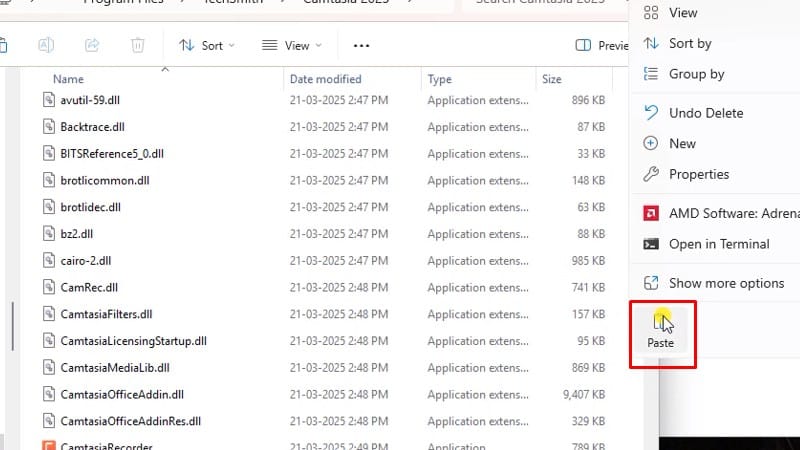 Paste vào như hình